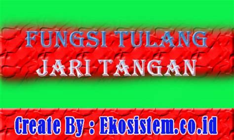 Tulang telapak tangan itu adalah tulang yang menyusun telapak tangan yang terletak diantara ujung distal tulang pengumpil dan hasta serta tulang demikianlah ulasan dari seputarpengetahuan.co.id tentang fungsi tulang telapak tangan : fungsi tulang telapak tangan