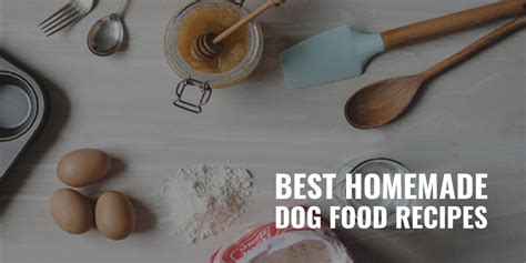 50 Best Homemade Dog Food Recipes Ingredients Directions And Faqs