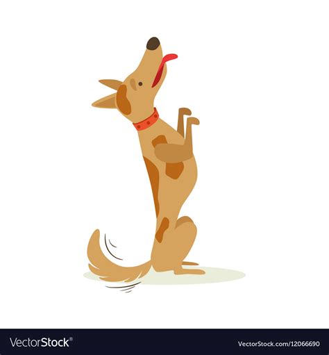 Brown Pet Dog Sitting Begging For Treat Animal Vector Image