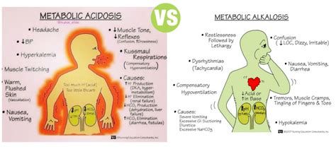 Acidosis And Alkalosis Definition Types Of Imbalances And Mcqs For