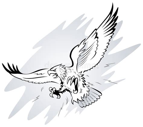 Attacking Eagle Stock Vector Illustration Of Predatory 10142640