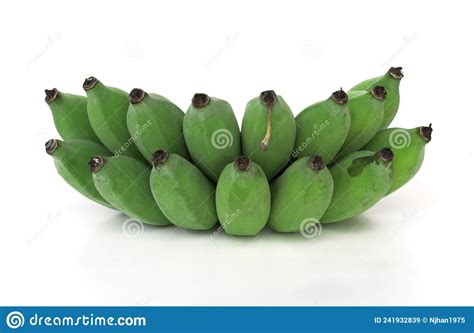Unripe Bananas Stock Image Image Of Calorie Healthy 241932839