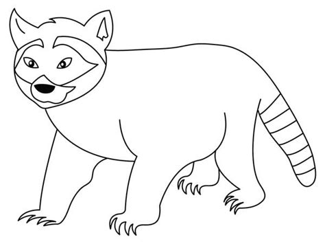 Coloring raccoon pages printable cool2bkids children books. Raccoon Walking Coloring Page - NetArt