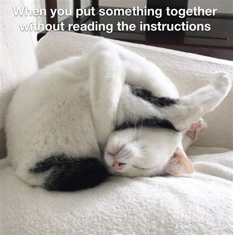 Top 18 Cat Memes Sleep So Life Quotes Funny Animal Memes Cute