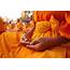 Buddhist Monk Allegedly Beat Child To Death During Prayer Session