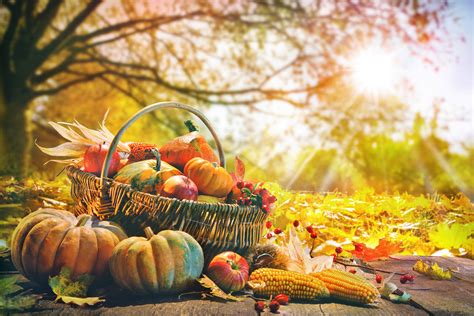 Fall Harvest Market Edify