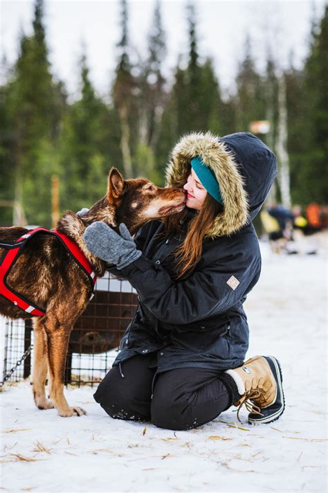 Winter Adventure Week In Lapland Rovaniemi Lapland Welcome In Finland