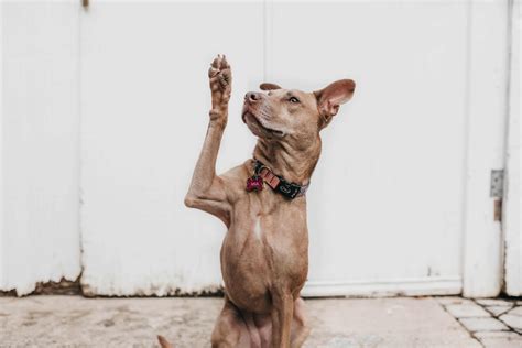 There's just a part of this industry though that i think it's healthy and good to practice detachment by really embracing the impermanent nature of. Beyond "Au Revoir": 10 Ways to Say Goodbye in French Like ...