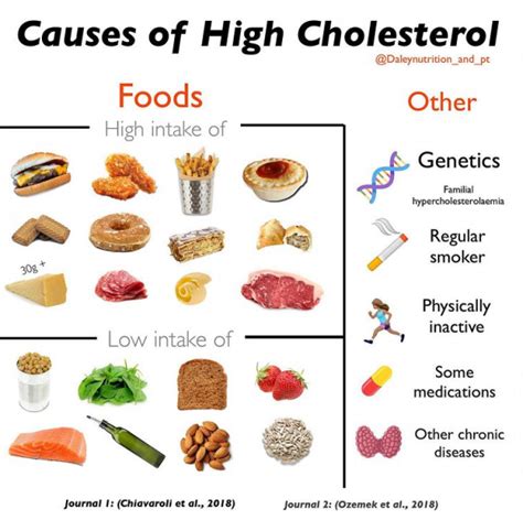 Medicine And Health True Eats What Is Cholesterol