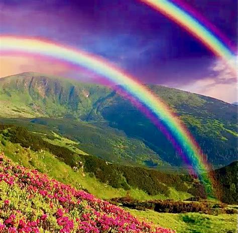 Pin By Psychologie Art Et Histoire On Arc En Ciel Rainbow Nature