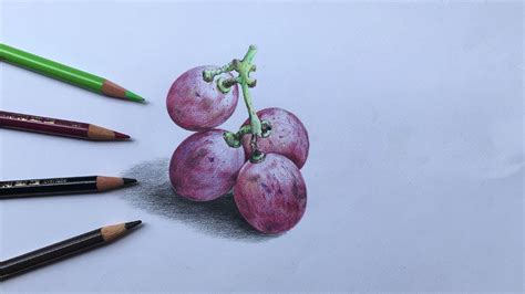 How To Draw Grapes In Color Pencils Realistic Grapes Drawing Fruit