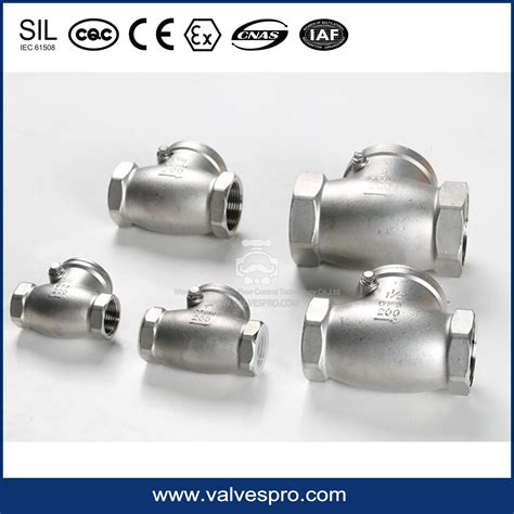 304 316 Stainless Steel Npt Threaded Spring And Swing Check Valve