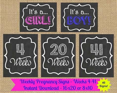 Weekly Pregnancy Chalkboard Maternity Photo Prop Baby Bump Etsy