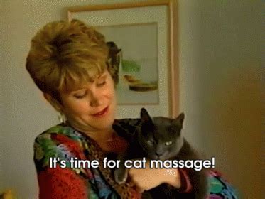 Cat Massage Cats Cat Massage Creepy Discover Share GIFs