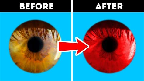 20 Optical Illusions And One Cool Trick Thatll Change