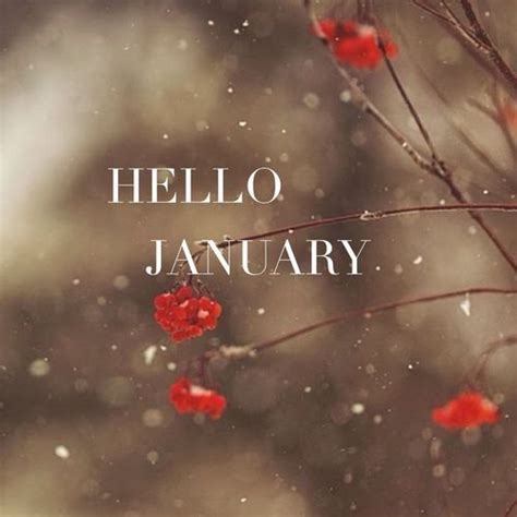 Hello January Hello January Quotes January Quotes Hello January