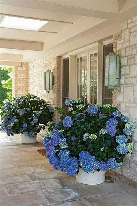 42 Lovely Small Flower Gardens And Plants Ideas For Your