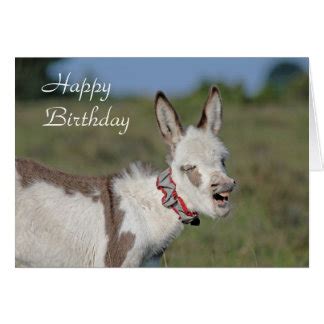 Donkey Cards Photo Card Templates Invitations More