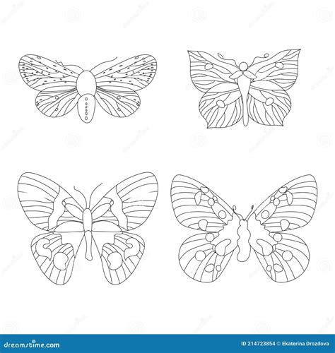 Vector Linear Drawing Set Of Cute Butterflies Doodle Illustration