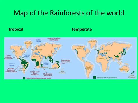 Tropical Rainforest Location World Map