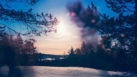 Winter Wonderland Lapland Finland