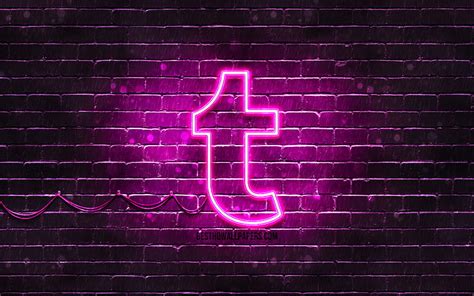 4k Free Download Tumblr Purple Logo Purple Brickwall Tumblr Logo