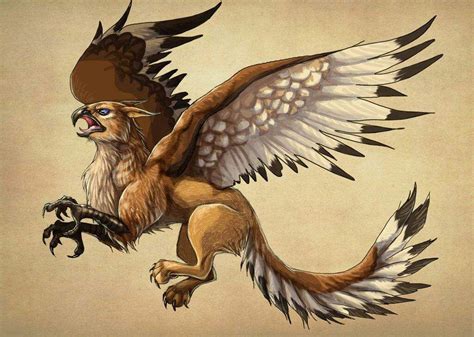 The Gryphon And The Chimera Mythology And Cultures Amino Mythical Birds