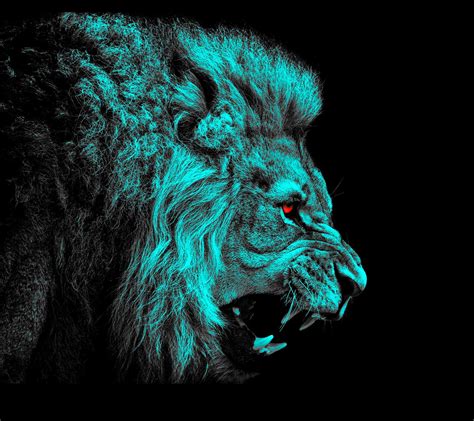 Lion Face Wallpaper 68 Images