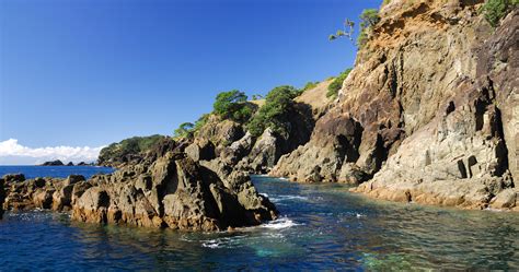 Goat Island Marine Reserve Auckland New Zealand