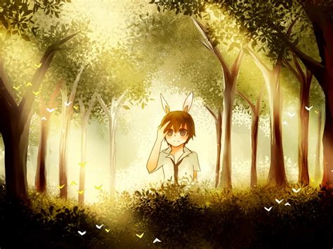 Lost In Forest By Ciceon On Deviantart