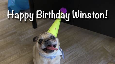 Happy Birthday Winston Youtube