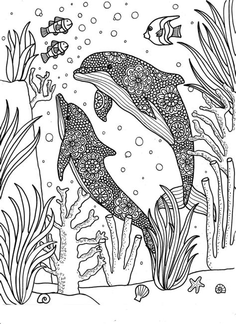 Dolphins Coloring Pages — 100 Free Coloring Pages
