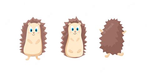 Premium Vector Cute Hedgehogs Vector Cartoon Illustration