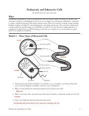 Neuron function 1 2 pogil™ activities for ap* biology 3 2 inside of cell outside of cell 1 a a a b b b c discuss this with your group members before writing an answer. Photosynthesis-Whats_in_a_Leaf_POGIL.pdf - NAME Kevin ...