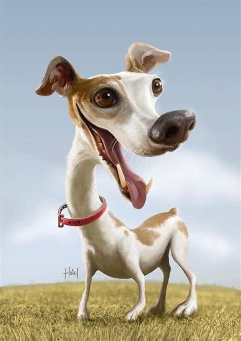 Magnificent Character Illustrations By Tiago Hoisel Pondly Animal