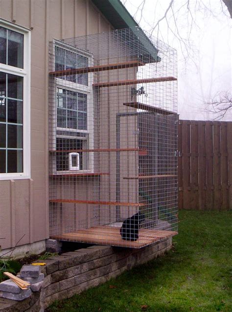 20 Diy Outdoor Cat Enclosure Attached To House