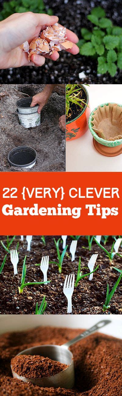 There Are Many Different Pictures With Plants And Gardening Tips In
