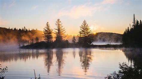 1920x1080 Lake Reflection Morning Mist Trees Nature Hd 4k Laptop Full