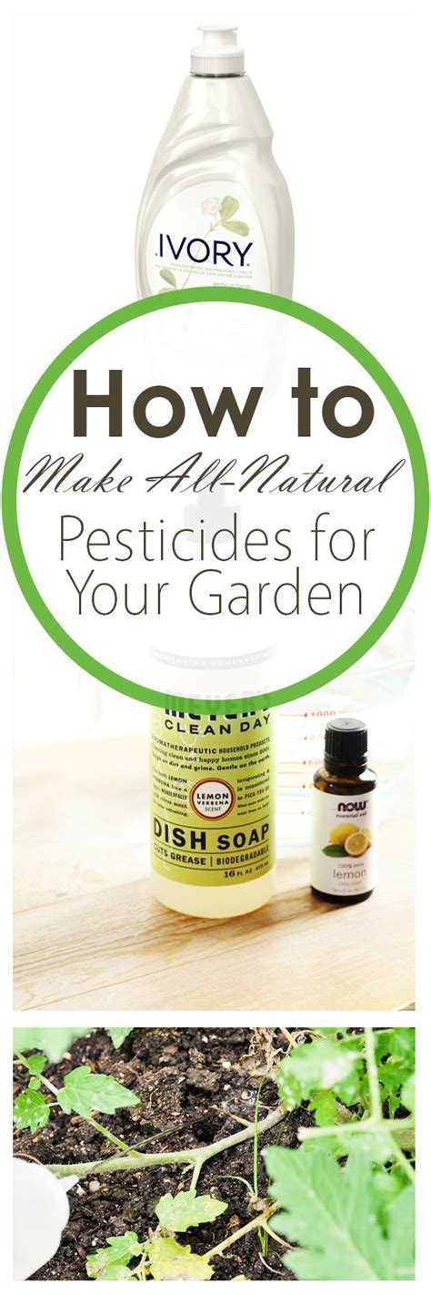 How To Make All Natural Pesticides For Your Garden Natural