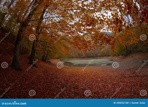Seven Lakes National Park And Fall Landscape Bolu Turkey Bolu