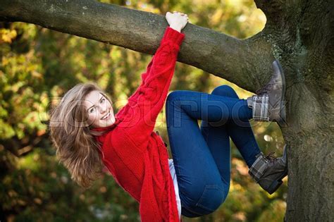 Tree Climbing Park Images Search Images On Everypixel