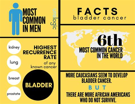 Where Is Bladder Cancer Most Common ️ Updated Guide 2022