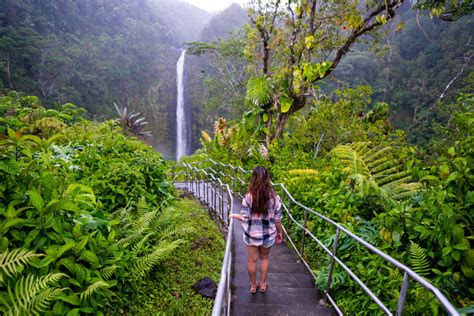 Akaka Falls Hike The Most Beautiful Waterfalls On Big Island Hi