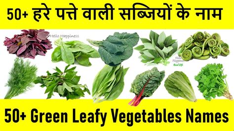 Green Leafy Vegetables Names Green Vegetables List हरे पत्ते वाली