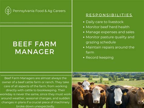 Beef Farm Manager Ag And Food Careers In Pa