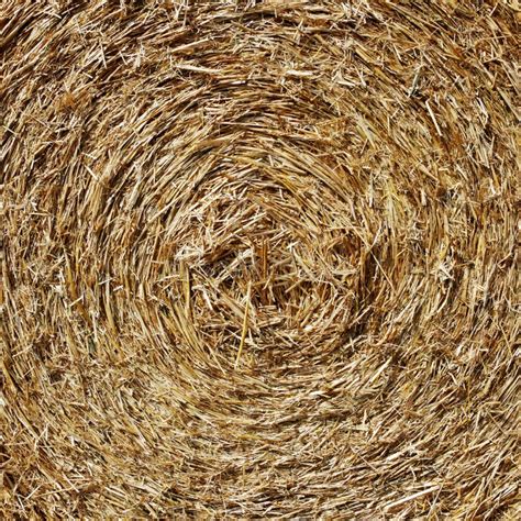 Straw Hay Stock Photo Image Of Background Harvest Cereal 26876216