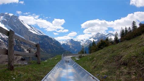 Switzerland Mountain Coaster Slide Down The Alps Rodelbahn