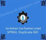 Images of Sui Southern Gas Bill