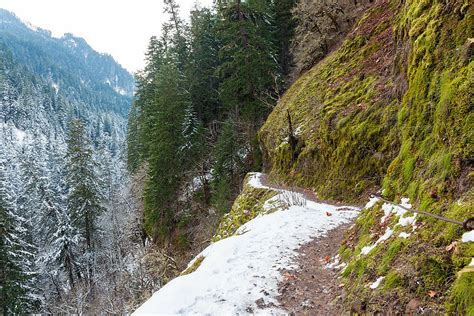 Snow Covered Forest Narrow Hiking Trail Photograph By Jit Lim Fine