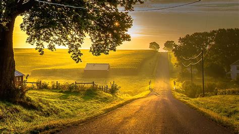 Sunlit Country Road Roads Countryside Fields Nature Sunshine Sky